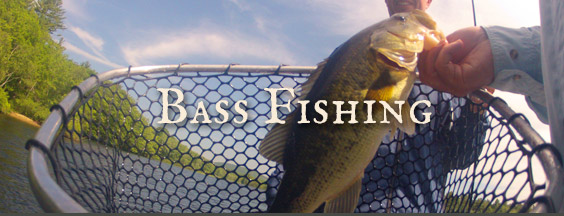 Bass Fishing