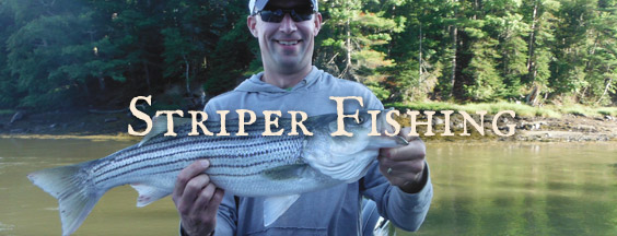 Striper Fishing